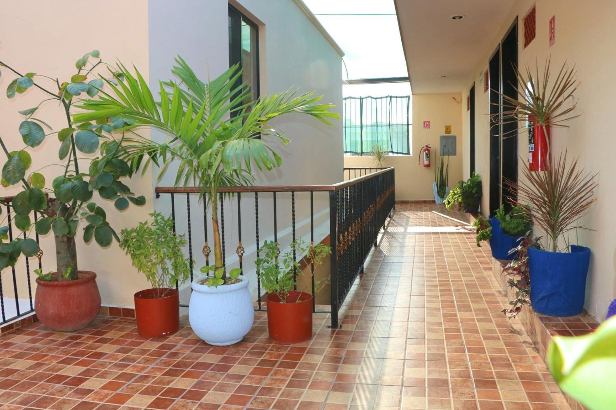 Hotel Casa Pellegrin เมริดา ภายนอก รูปภาพ