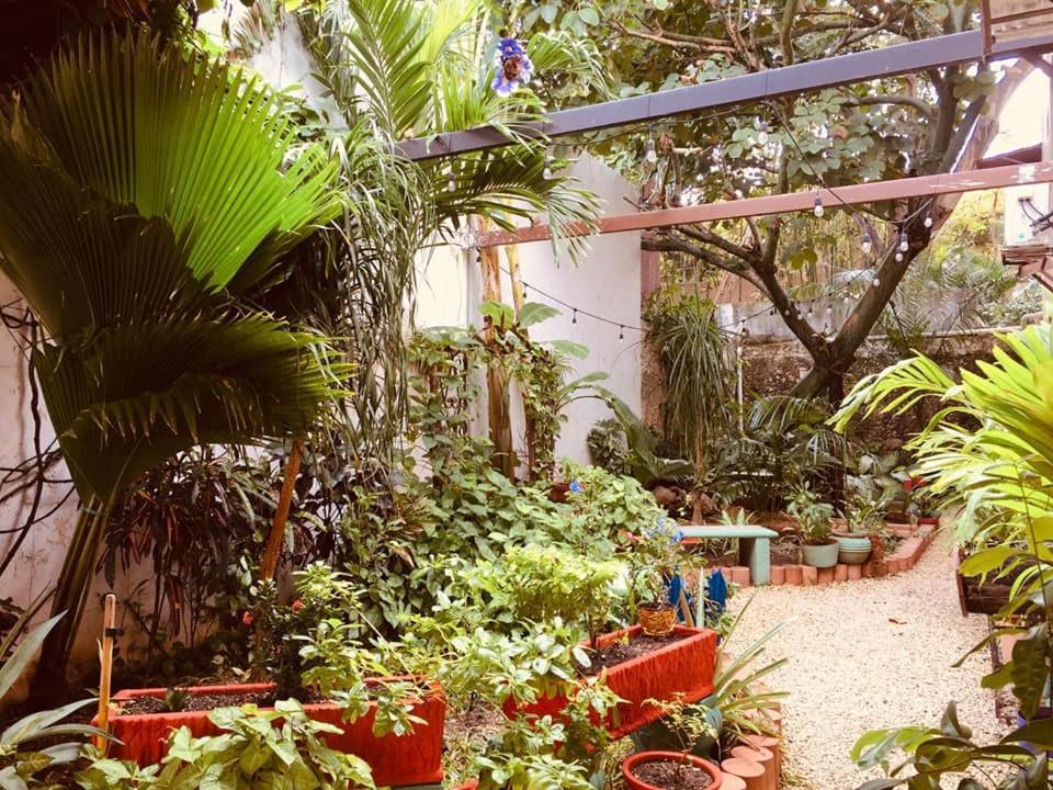 Hotel Casa Pellegrin เมริดา ภายนอก รูปภาพ