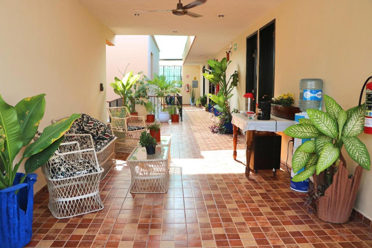Hotel Casa Pellegrin เมริดา ภายนอก รูปภาพ